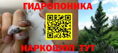 каннабис Аргун