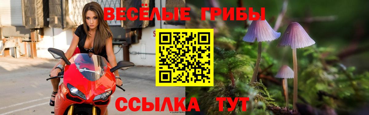 Аргун  Псилоцибиновые грибы Magic Shrooms  Вход с VPN 